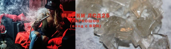 ПСИЛОЦИБИНОВЫЕ ГРИБЫ Лихославль