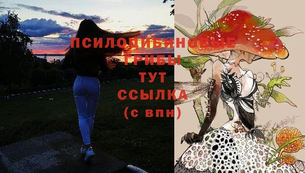 СК Магас