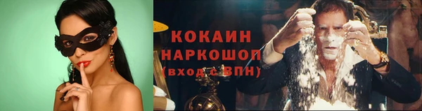 ПСИЛОЦИБИНОВЫЕ ГРИБЫ Лихославль
