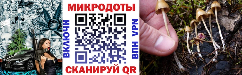 мега ССЫЛКА  Кулебаки  сайты даркнета Telegram  купить наркотик  Галлюциногенные грибы прущие грибы 
