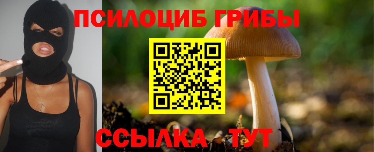 Псилоцибиновые грибы MAGIC MUSHROOMS Кулебаки